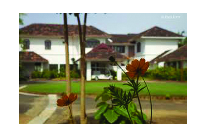 Embedded in our culture